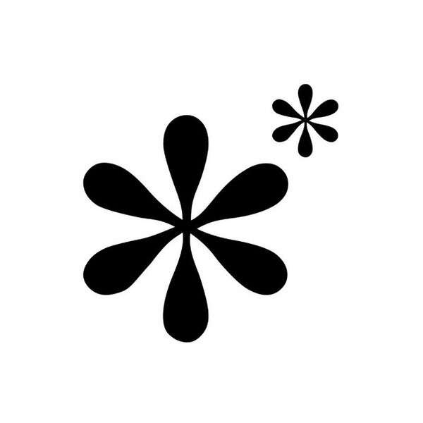 Файл:Photo 2025-04-08 10-11-30.jpg